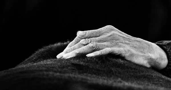 日本「孤獨死」1年逾7萬人　多達253人死後1年才被發現