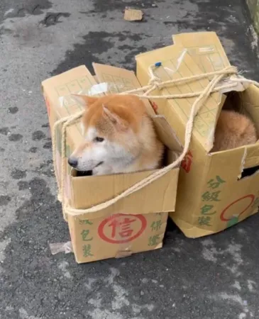 ▲▼             。（圖／）