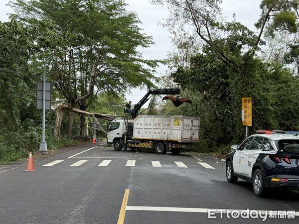 ▲▼      樹倒閃車受傷       。（圖／記者唐詠絮翻攝）