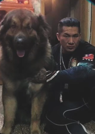 館長愛犬大雄。（圖／翻攝自飆悍臉書、IG@bigbearingkgym）