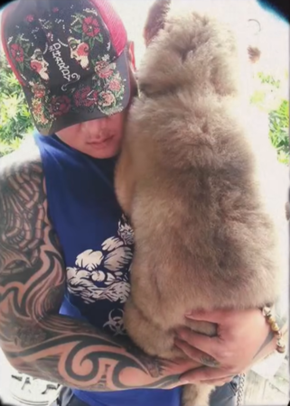 館長愛犬大雄。（圖／翻攝自飆悍臉書、IG@bigbearingkgym）
