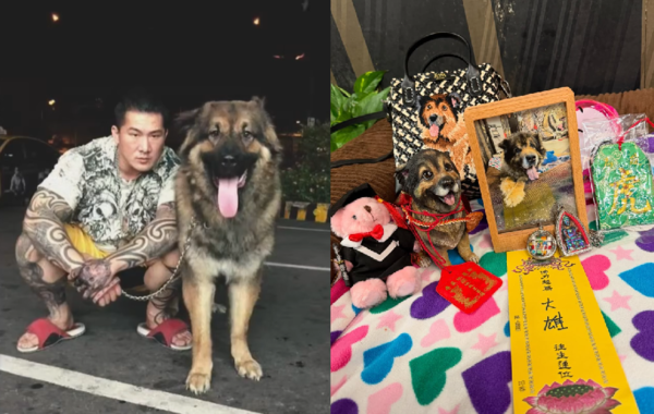 館長愛犬大雄。（圖／翻攝自飆悍臉書、IG@bigbearingkgym）