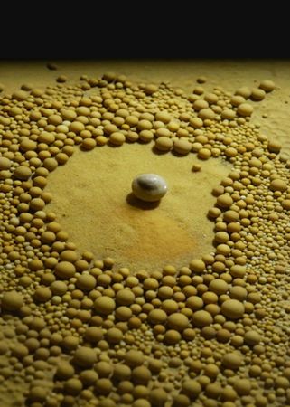 ▲▼貴州深山發現4.8億年前｢地下水晶宮｣　全球罕見洞穴沉積物基因庫。（圖／翻攝新華社）