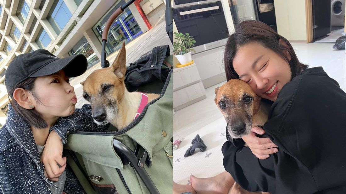 ▲▼米可白。（圖／翻攝自Facebook／米可白）