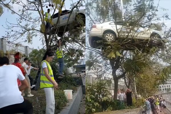 ▲▼大陸駕訓班傳出意外，官方調查結果大逆轉。（圖／翻攝抖音）