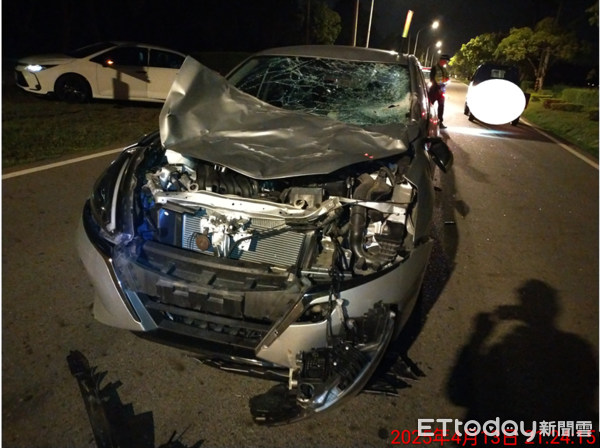 ▲金門牛隻竄出馬路，小客車來不及閃撞上釀2傷，車主無奈。（圖／記者林名揚翻攝，下同）