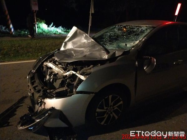 ▲金門牛隻竄出馬路，小客車來不及閃撞上釀2傷，車主無奈。（圖／記者林名揚翻攝，下同）