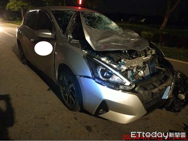 ▲金門牛隻竄出馬路，小客車來不及閃撞上釀2傷，車主無奈。（圖／記者林名揚翻攝，下同）