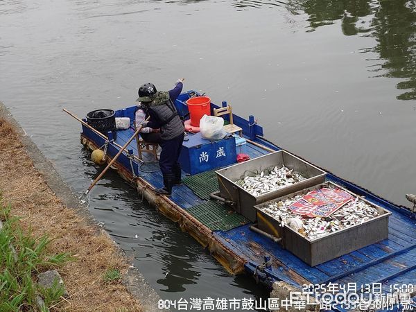 ▲▼高雄愛河大量魚群死亡飄河面　環保局急查原因！清除600kg魚屍。（圖／記者賴文萱翻攝）