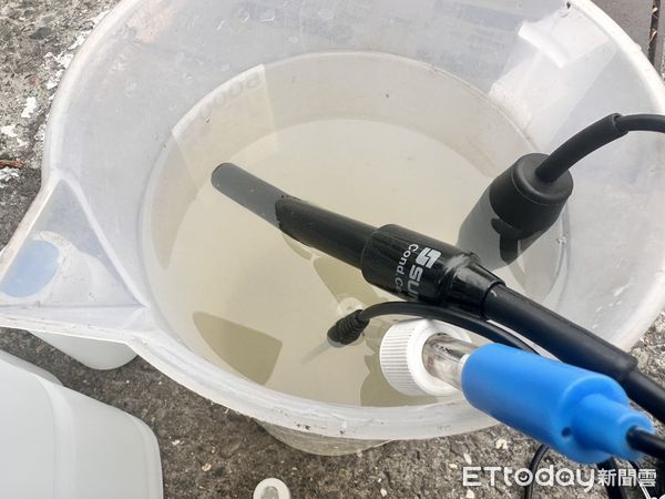 ▲▼高雄愛河大量魚群死亡飄河面　環保局急查原因！清除600kg魚屍。（圖／記者賴文萱翻攝）