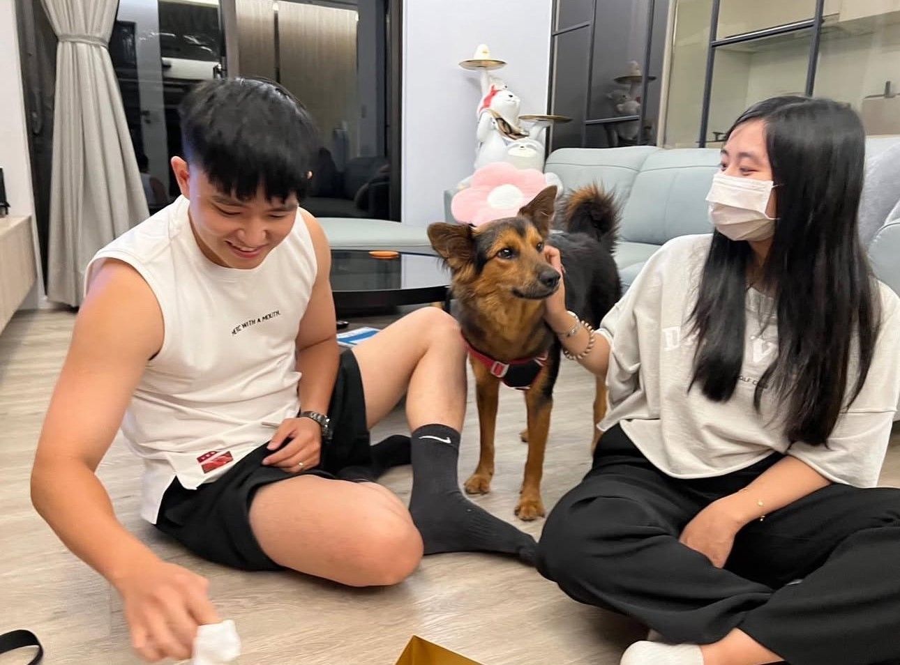 ▲新北助「社恐犬」戰勝恐懼迎向幸福。（圖／新北市動保處提供）