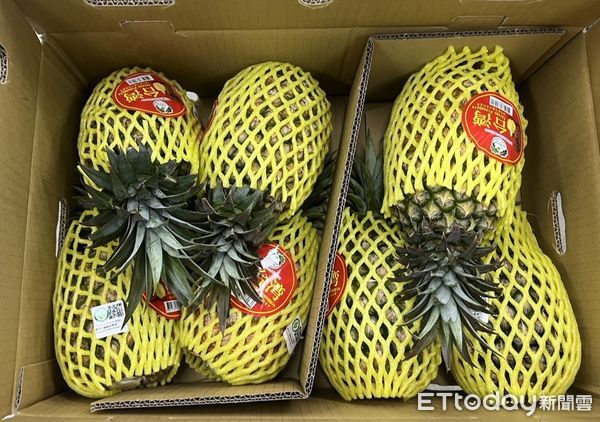 ▲新加坡食品展後首批銷往新加坡的鳳梨貨櫃，14日上午裝櫃，預計4月25至27日在新加坡FairPrice的10家連鎖超市進行30場試吃品嚐活動。（圖／記者林東良翻攝，下同）