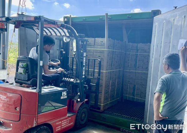 ▲新加坡食品展後首批銷往新加坡的鳳梨貨櫃，14日上午裝櫃，預計4月25至27日在新加坡FairPrice的10家連鎖超市進行30場試吃品嚐活動。（圖／記者林東良翻攝，下同）