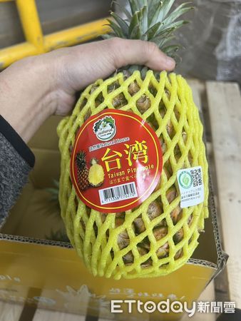 ▲新加坡食品展後首批銷往新加坡的鳳梨貨櫃，14日上午裝櫃，預計4月25至27日在新加坡FairPrice的10家連鎖超市進行30場試吃品嚐活動。（圖／記者林東良翻攝，下同）