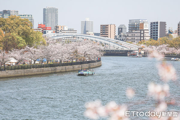 ▲▼大阪賞櫻遊船，大阪櫻花遊船，日本賞櫻，大阪大川櫻花遊船。（圖／記者蔡玟君攝）