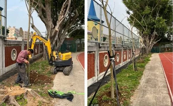 ▲獅子會300B 3區推動計畫型植樹