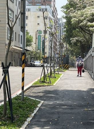 ▲獅子會300B 3區推動計畫型植樹