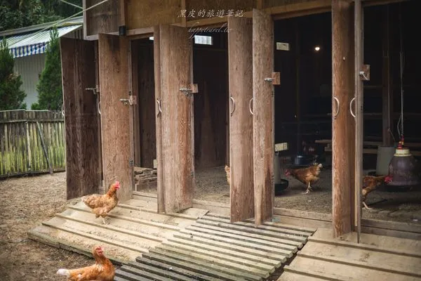 ▲▼小雞咕咕－友善雞蛋專賣店。（圖／部落客黑皮的旅遊筆記授權提供）