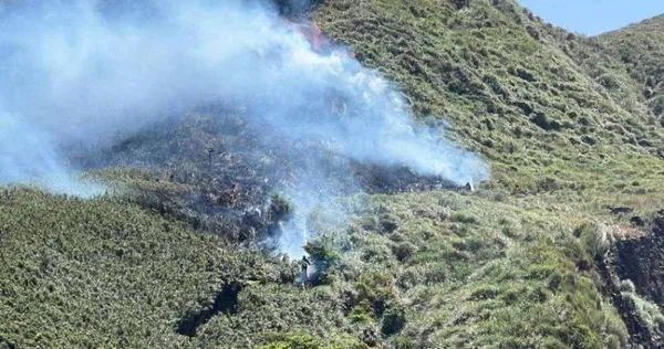 陽明山小油坑 14日火燒山，燃燒面積估50公頃。（圖／翻攝畫面）