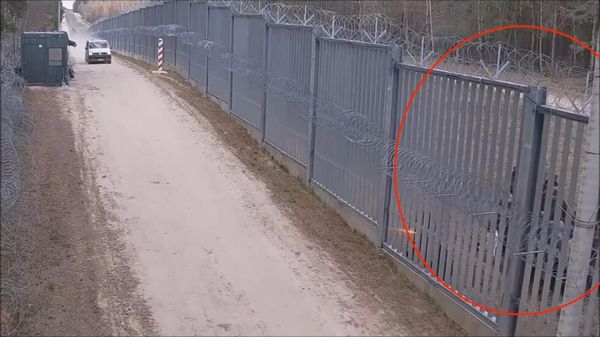 ▲▼             。（圖／翻攝自X）