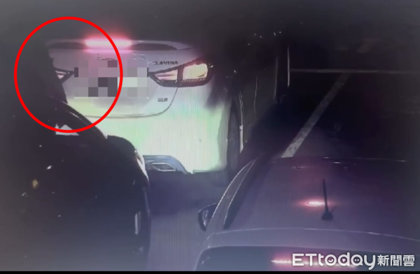 ▲▼高雄猴深夜「獨坐汽車引擎蓋」上路趴走　衝擊畫面曝光。（圖／記者賴文萱翻攝）