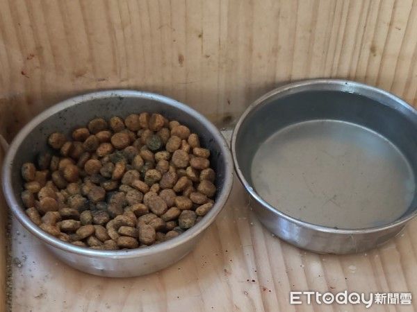  ▲參觀猴硐貓公所見「發霉飼料」環境雜亂　動保稽查：貓咪健康無虞。（圖／網友提供，請勿隨意翻拍，以免侵權。）