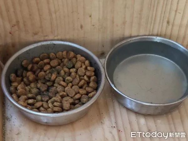  ▲參觀猴硐貓公所見「發霉飼料」環境雜亂　動保稽查：貓咪健康無虞。（圖／網友提供，請勿隨意翻拍，以免侵權。）