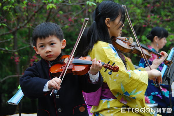 ▲九族文化村今年的紫戀薰衣草活動照例安排了一系列的音樂會。（圖／九族文化村提供）