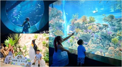 開箱沖繩互動式室內水族館！