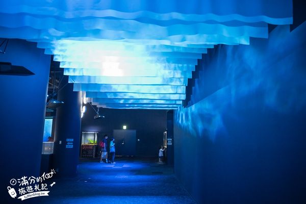 ▲▼DMM Kariyushi水族館。（圖／部落客滿分的旅遊札記授權提供）