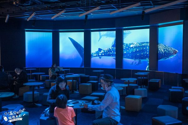 ▲▼DMM Kariyushi水族館。（圖／部落客滿分的旅遊札記授權提供）