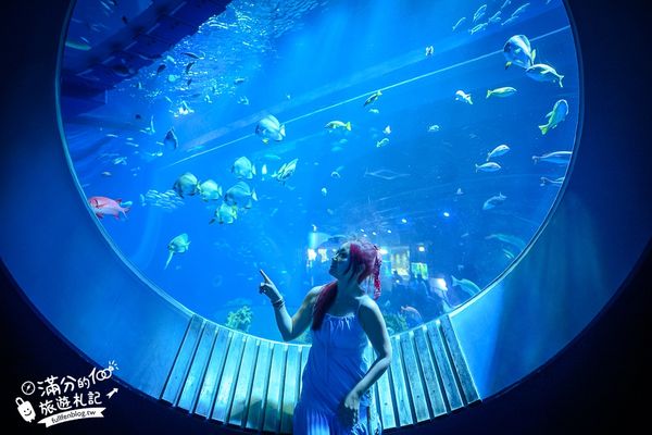 ▲▼DMM Kariyushi水族館。（圖／部落客滿分的旅遊札記授權提供）