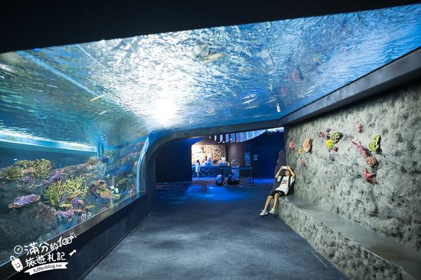 ▲▼DMM Kariyushi水族館。（圖／部落客滿分的旅遊札記授權提供）