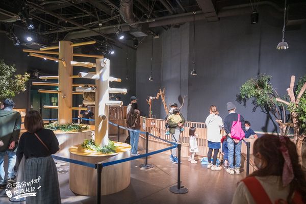 ▲▼DMM Kariyushi水族館。（圖／部落客滿分的旅遊札記授權提供）