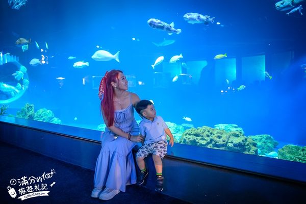 ▲▼DMM Kariyushi水族館。（圖／部落客滿分的旅遊札記授權提供）