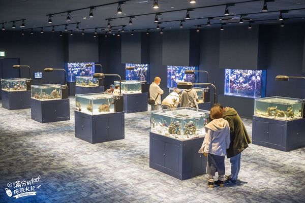 ▲▼DMM Kariyushi水族館。（圖／部落客滿分的旅遊札記授權提供）
