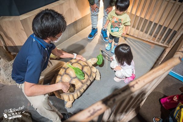 ▲▼DMM Kariyushi水族館。（圖／部落客滿分的旅遊札記授權提供）
