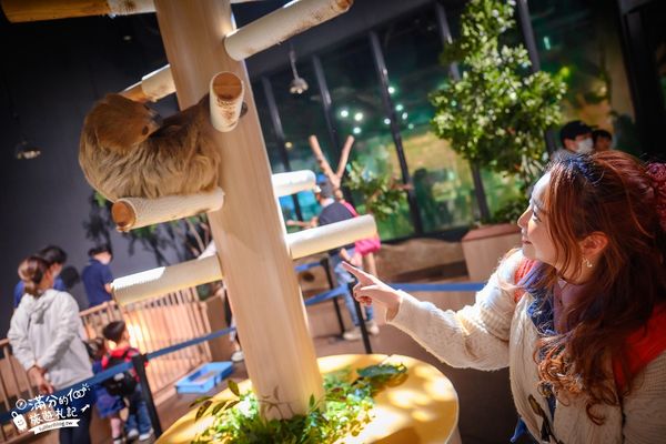 ▲▼DMM Kariyushi水族館。（圖／部落客滿分的旅遊札記授權提供）