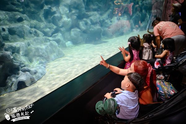 ▲▼DMM Kariyushi水族館。（圖／部落客滿分的旅遊札記授權提供）