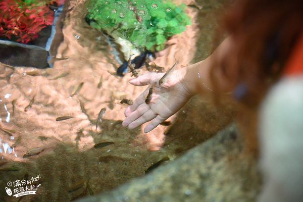 ▲▼DMM Kariyushi水族館。（圖／部落客滿分的旅遊札記授權提供）