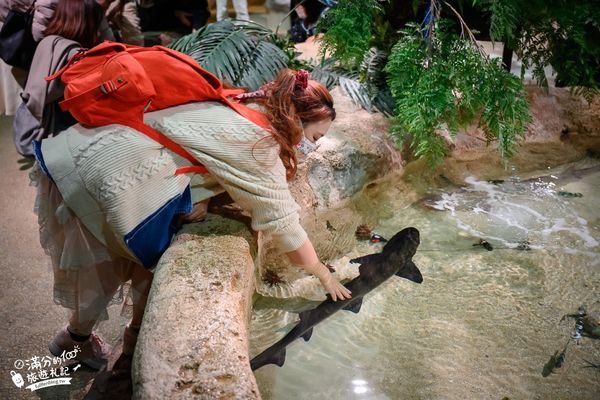 ▲▼DMM Kariyushi水族館。（圖／部落客滿分的旅遊札記授權提供）