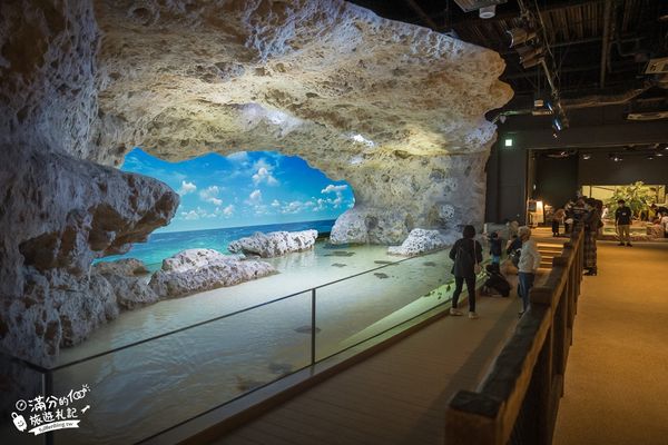 ▲▼DMM Kariyushi水族館。（圖／部落客滿分的旅遊札記授權提供）