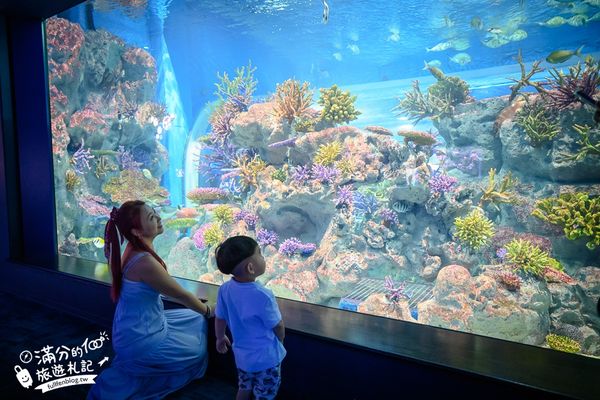 ▲▼DMM Kariyushi水族館。（圖／部落客滿分的旅遊札記授權提供）