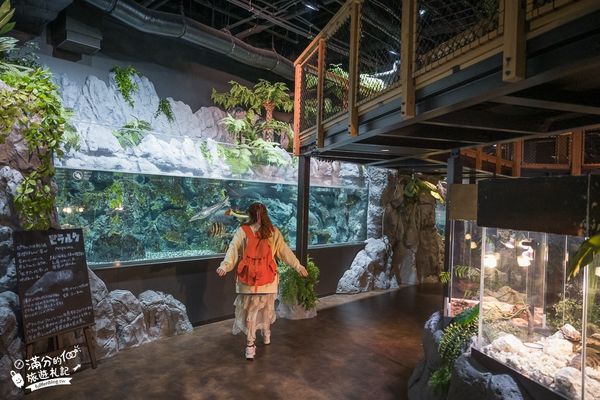 ▲▼DMM Kariyushi水族館。（圖／部落客滿分的旅遊札記授權提供）