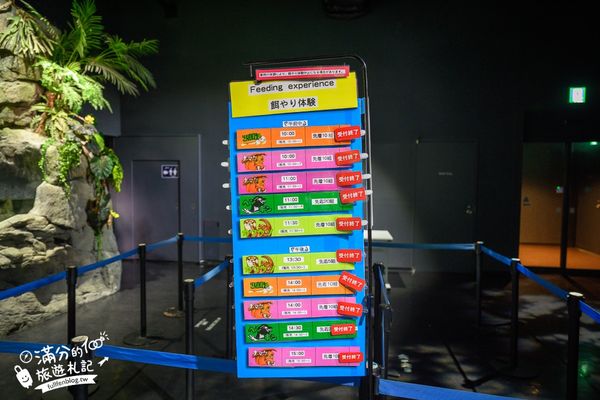 ▲▼DMM Kariyushi水族館。（圖／部落客滿分的旅遊札記授權提供）