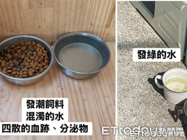 ▲侯硐貓公所遭批「飼料發霉」環境髒亂　廠商發文澄清擬提告。（圖／網友提供，請勿隨意翻拍，以免侵權。）