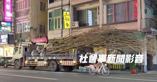 ▲▼ 衝擊畫面曝！高雄貨車載「超巨大樹木」鬧區趴走　網全看傻眼。（圖／翻攝社會事新聞影音）