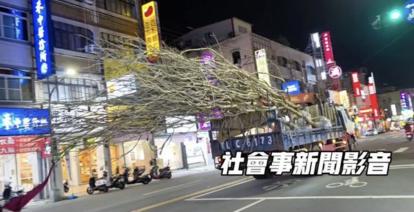 ▲▼ 衝擊畫面曝！高雄貨車載「超巨大樹木」鬧區趴走　網全看傻眼。（圖／翻攝社會事新聞影音）