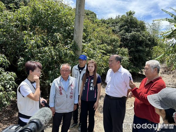 ▲立委陳亭妃17日上午邀集農糧署、台南市農業局及台南區農業改良場，前往會勘龍眼與荔枝果樹災損情形，要求各區公所必須接受農民的速報，才能了解整個災損狀況。（圖／記者林東良翻攝，下同）