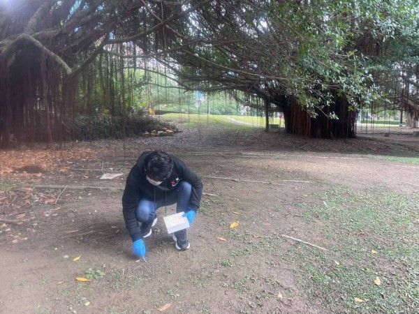 ▲北市動保呼籲勿隨意餵食野鴿。（圖／台北市動物保護處）